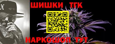 стаф Краснодар