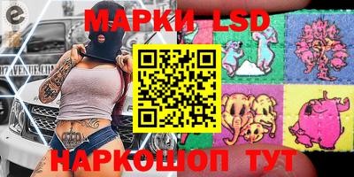 стаф Краснодар