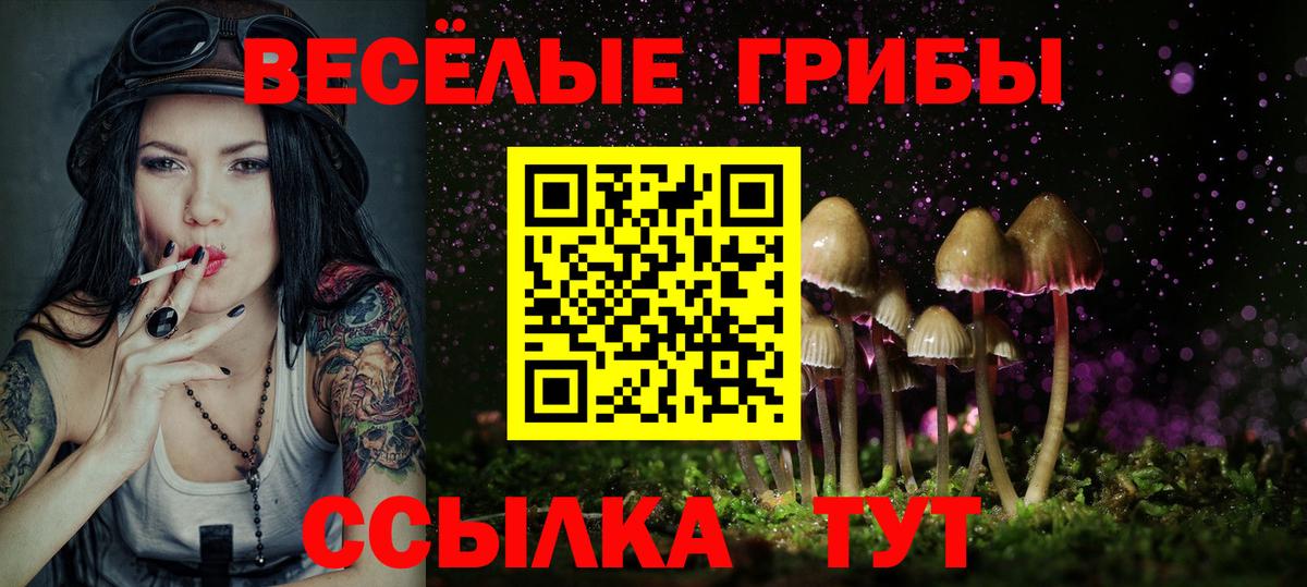 Киселёвск  Псилоцибиновые грибы мицелий  Вход с VPN  Псилоцибиновые грибы GOLDEN TEACHER 